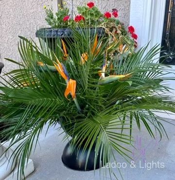Ladoo and Lights event decor