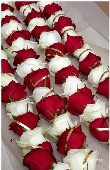 Ladoo & Lights event decor