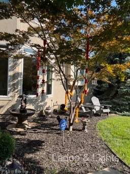 Ladoo & Lights event decor