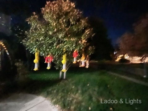 Ladoo & Lights event decor