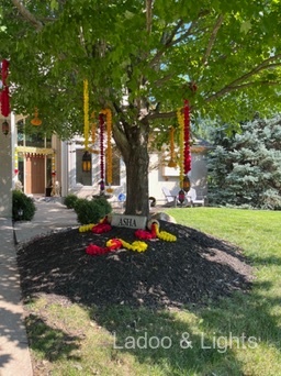 Ladoo & Lights event decor