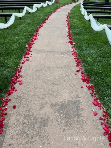 Ladoo & Lights event decor